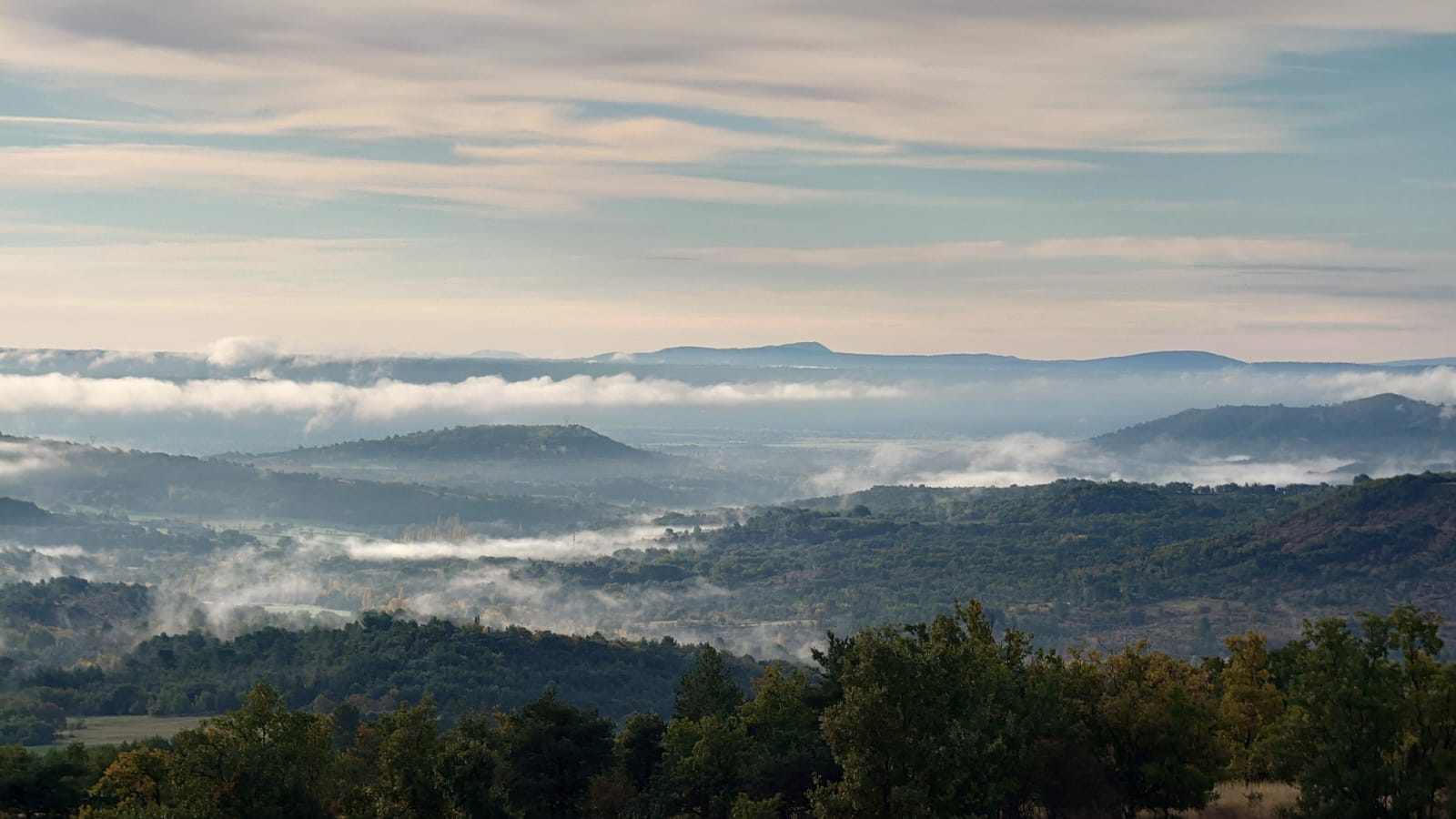 WhatsApp Image 2026-01-07 at 11.14.25 (4)